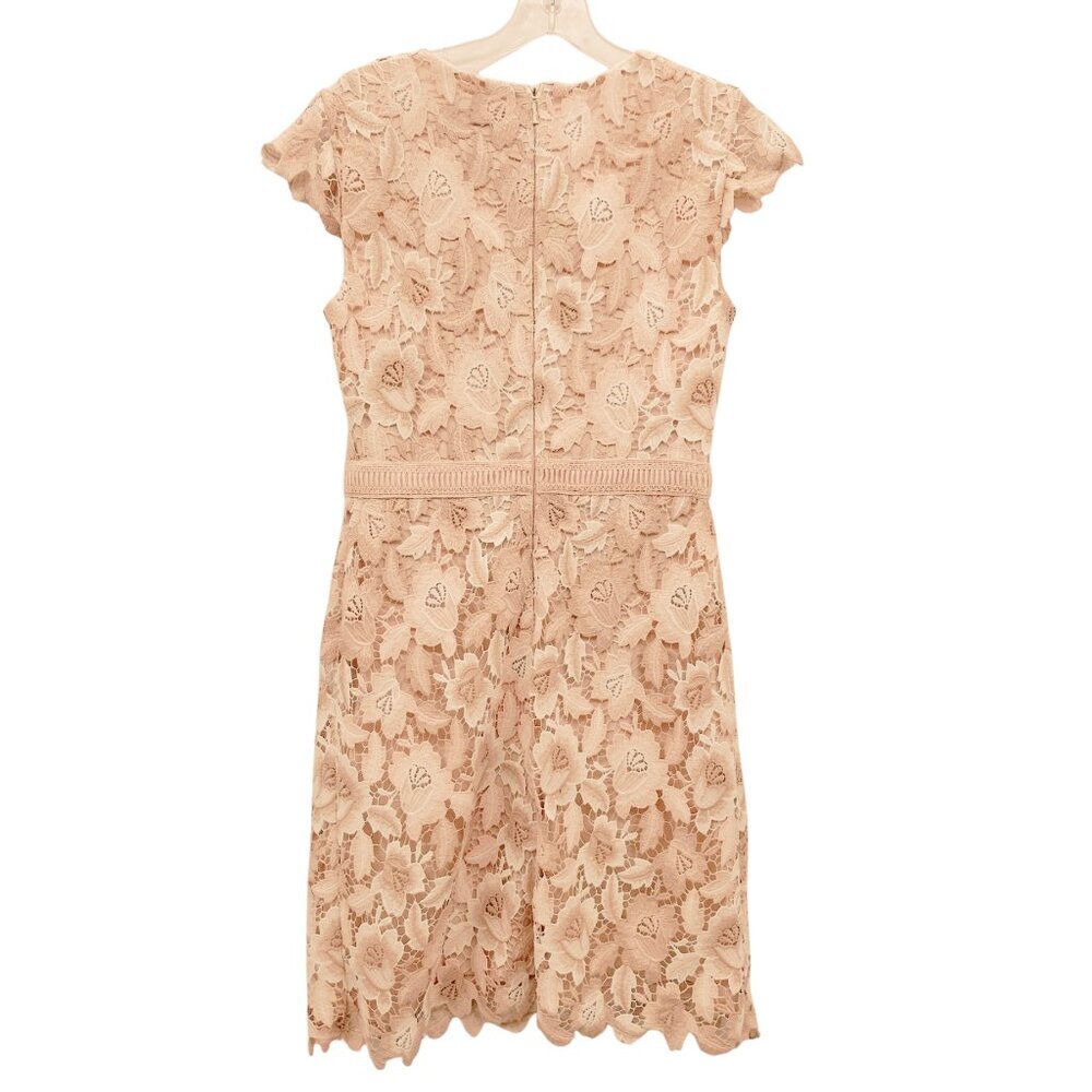 KARL LAGERFELD PARIS Cap-Sleeve Lace Dress sz 4 peach - Picture 4 of 6